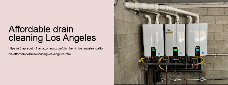affordable drain cleaning Los Angeles