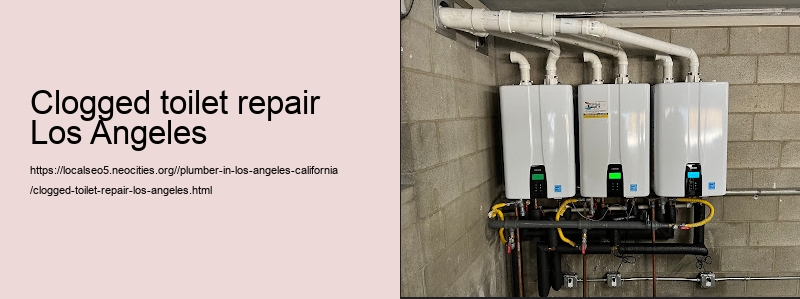 clogged toilet repair Los Angeles