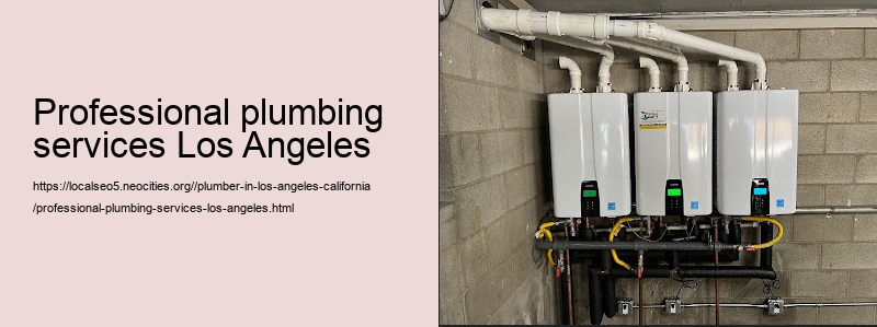 professional plumbing services Los Angeles