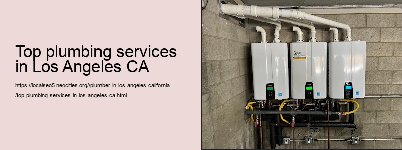 top plumbing services in Los Angeles CA